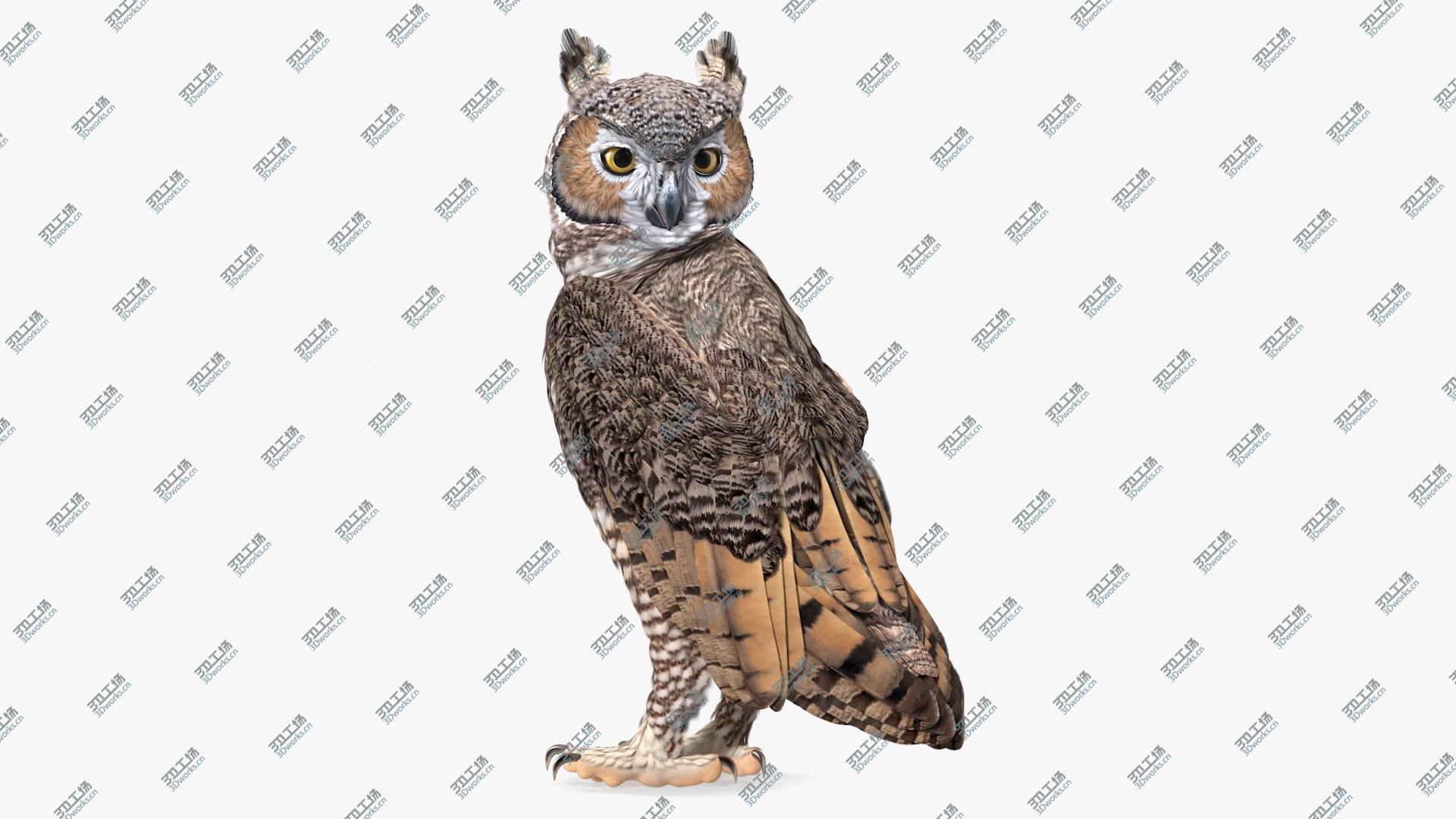 images/goods_img/202104021/3D model Great Horned Owl Standing Pose/1.jpg